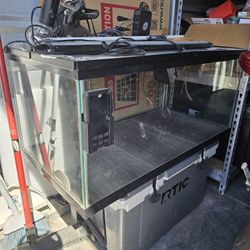 Bunch Of Bearded Dragon Stuff