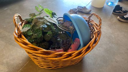 large basket;fake plant, lg mixing bowl, 2pk wiping cloths, sm organizer