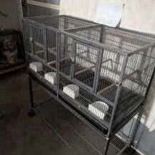 Birds Cages