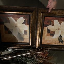 Pictures 