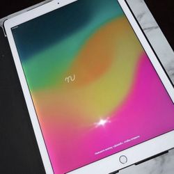 iPad Pro 12.9”  2nd Gen 256Gb  