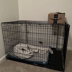 dog kennel