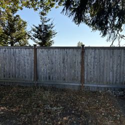 Fence Panels, Gates And Posts