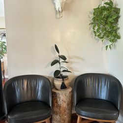 Plant holder - tree stump