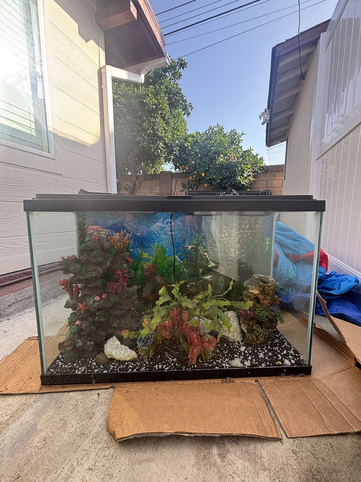Fish Tank
