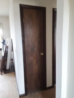 Door 18x79 With Hardware