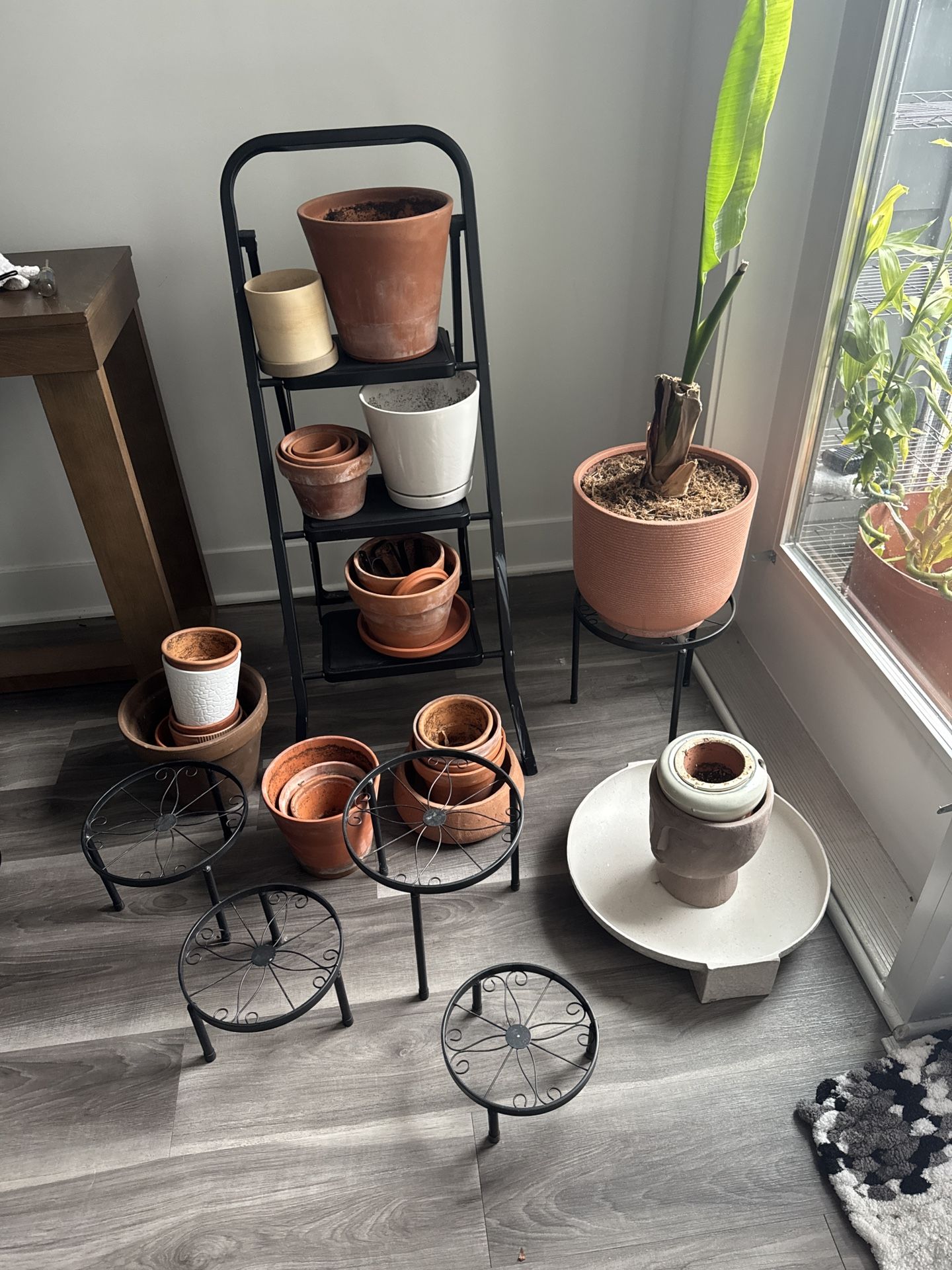 Assorted Terracotta Pots 