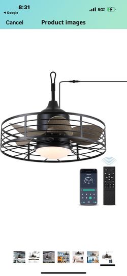 Electric Fan With Light 