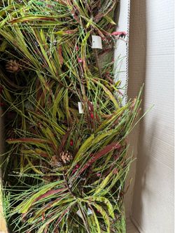 Plant decor