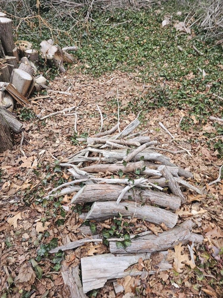 Free Firewood