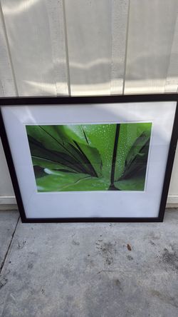 Framed art