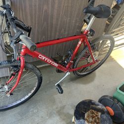 Bicicleta