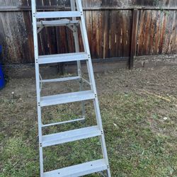 LADDER