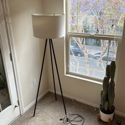 Standing Lamp