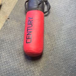 Kids Punching Bag 