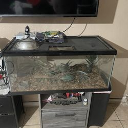 Reptile Tank Habitat Enclosure Terrarium glass cage