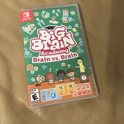 Big Brain Nintendo Switch Game