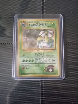 Japanese Erika's Venasuar 