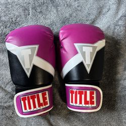 Title Pro Classic Boxing Gloves, 14 Ounce Training Bag Gloves 