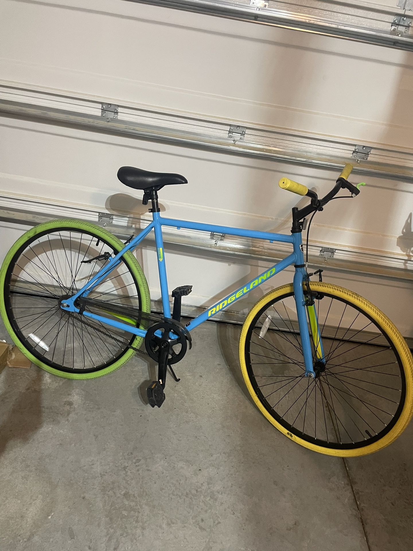 Adult Cruiser