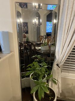Tall Mirror 
