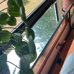 Slim Mirrored Sofa Table 8” X  56” X  30”