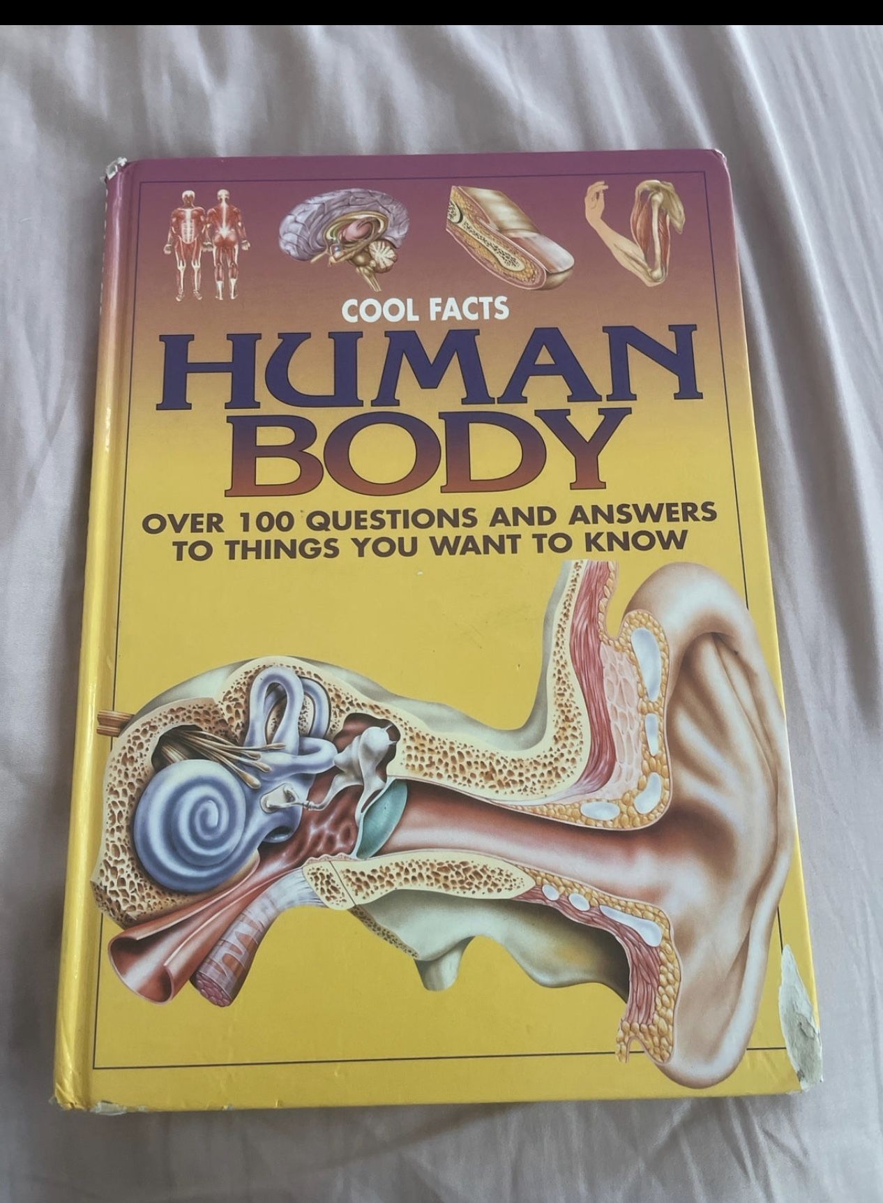 Human Body