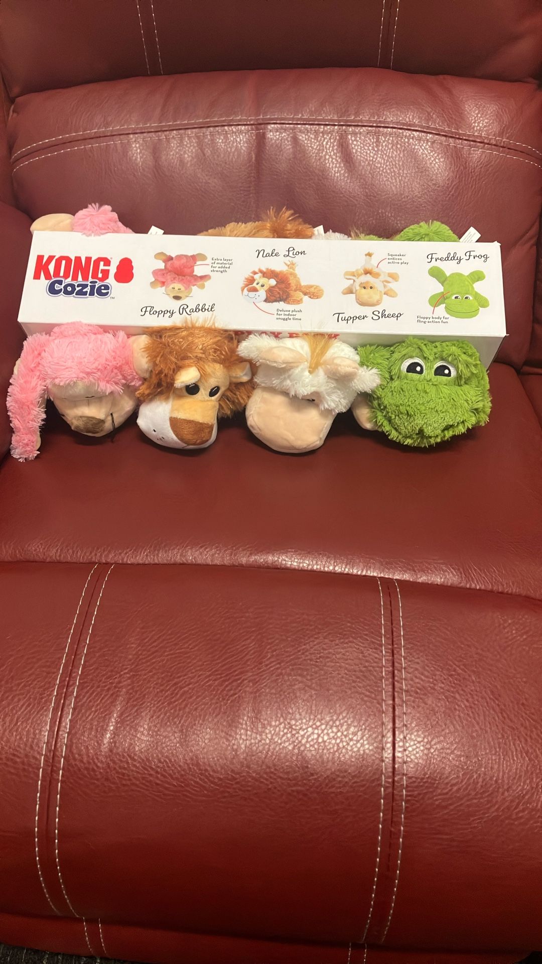 Kong Cozie
