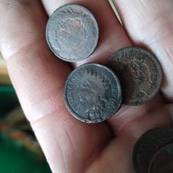 Indian Head Pennies