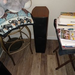 Home Speakers 