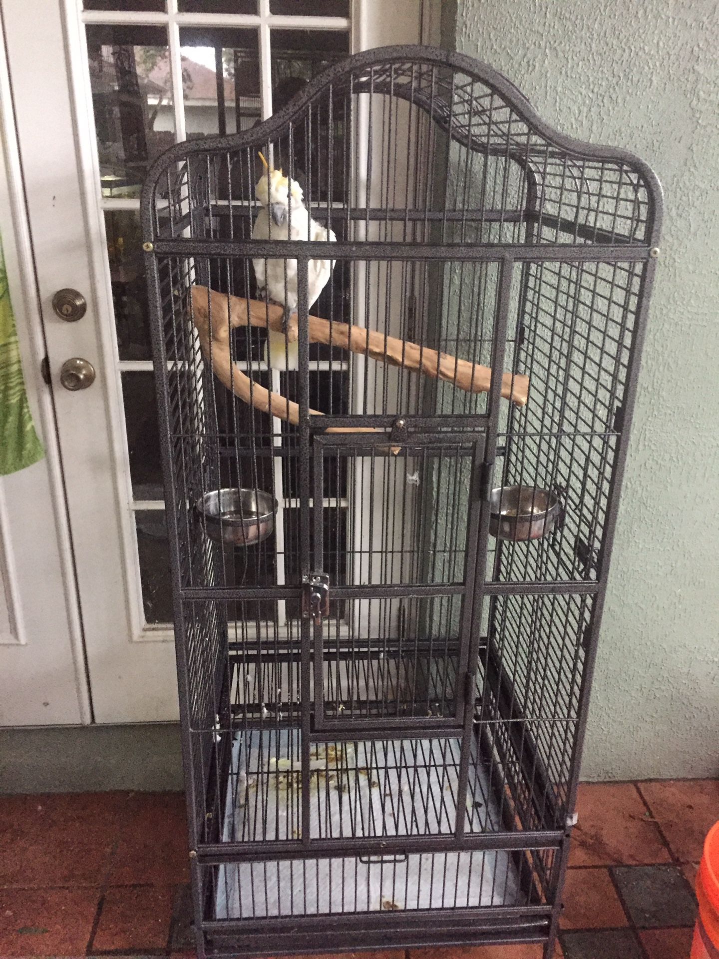 Parrot cage at a steal of a price!