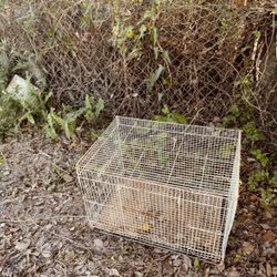 Cage For Canary