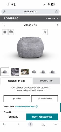 Lovesac Sleeper Bean Bag