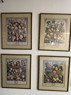 4 Season Botanical