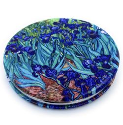 Van Gogh's  Irises Compact Mirror