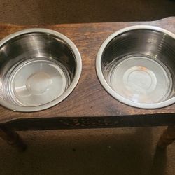 Beautiful dog bowl