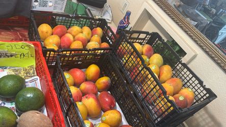 Mangos Haden Mingolo very sweet