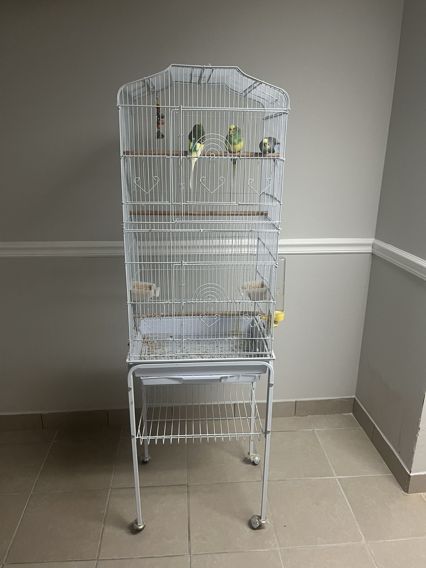 Bird Cage And Everything