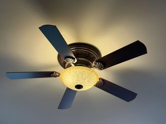 5-Blade Ceiling Fan with Light