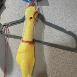 Chicken Toy 