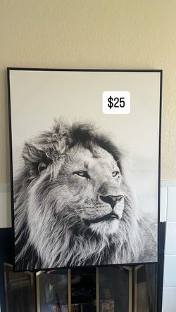Large Black and White Lion Canvas Wall Art
