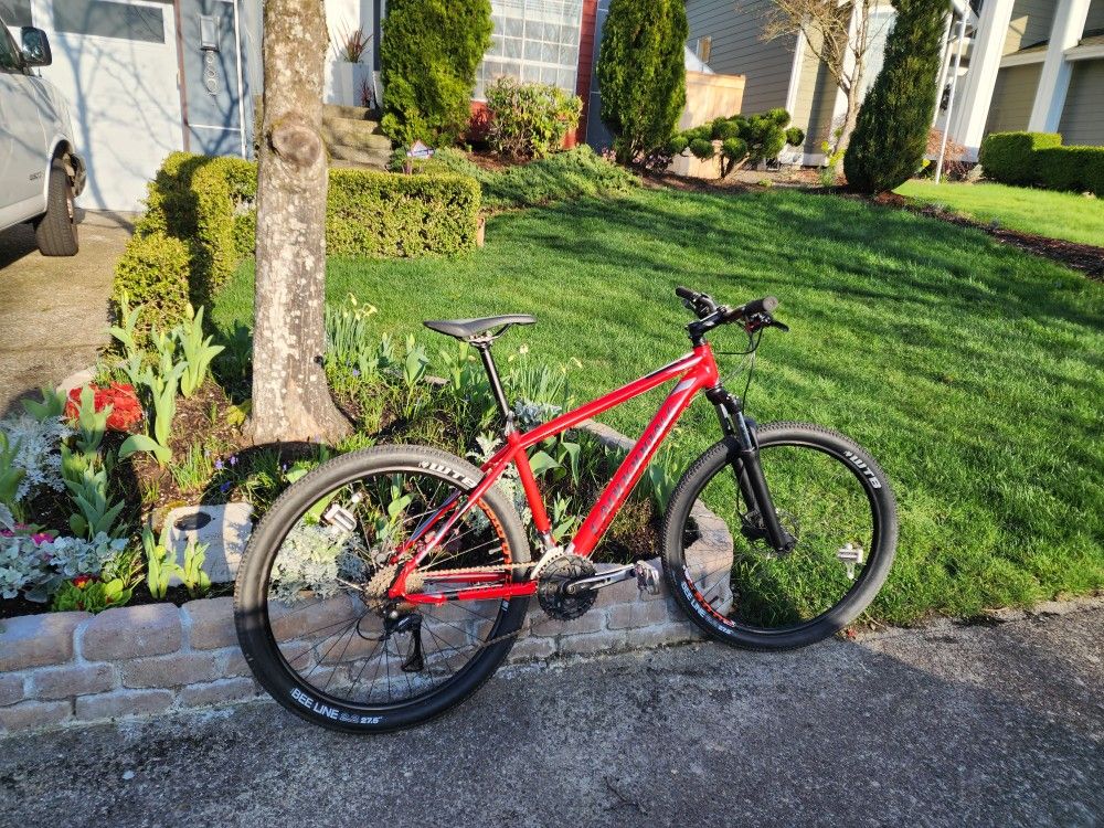 Cannondale Catalyst Mountain Bike Size 19"
