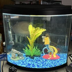 Fish Tank 