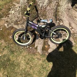 16” Ninja Turtles Kids bike