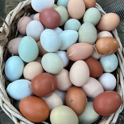 Yummy Farm Fresh Eggs