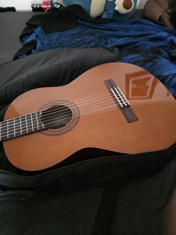 Guitar