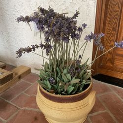 Imitation Flowers In Ceramic Pot