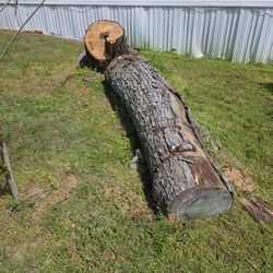 Free Wood