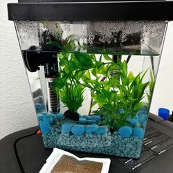One Gallon Fish Tank