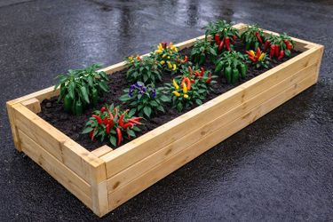 Time To Grow Your Own Food Garden Beds 64"L x 23"W x 11.5"H